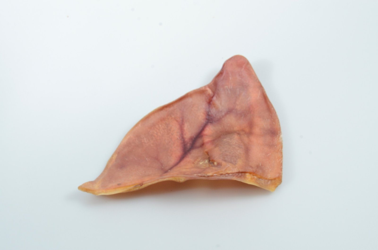 A dried pig ear on a white background